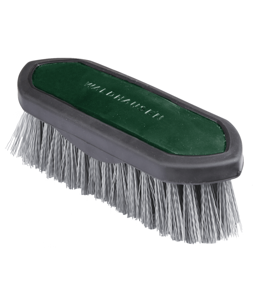 Brosse chiendent Synthetic