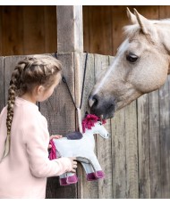 Jouet pour cheval Licorne...