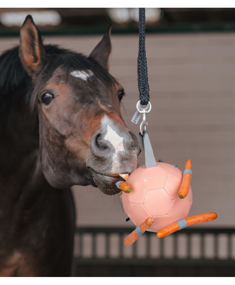 Balle à carottes