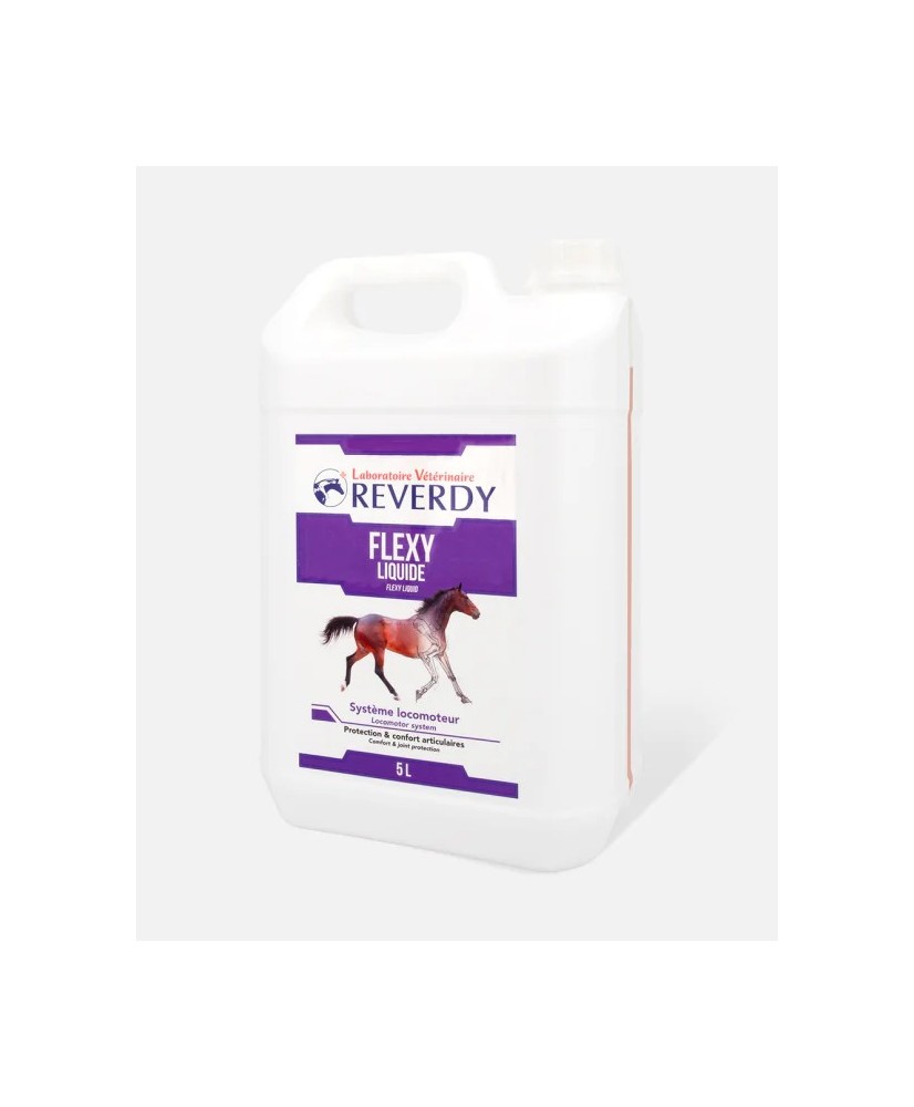 Flexy Liquide 5L - Produit Articulation