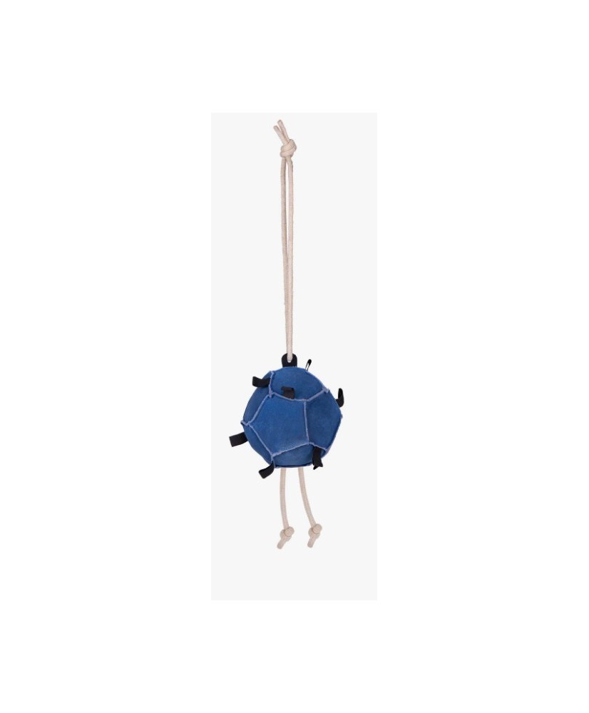 Jouets pour chevaux ball