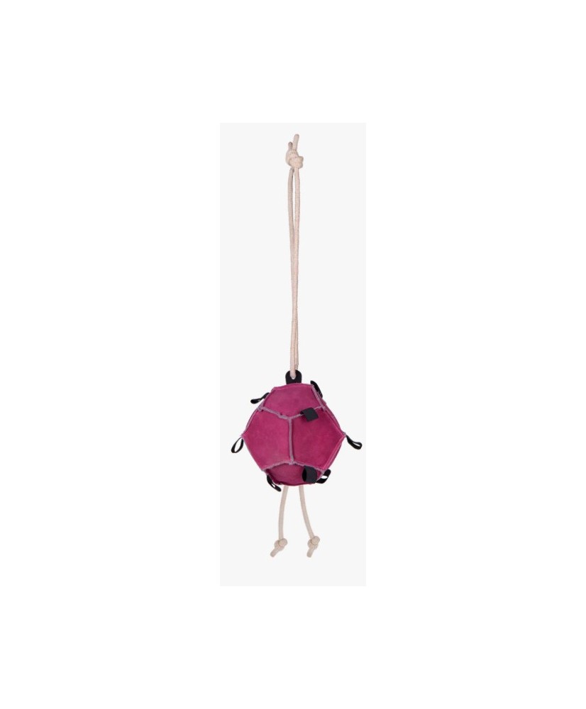Jouets pour chevaux ball