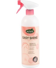 EASY SHINE RAVENE