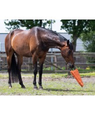 Jouets pour chevaux XL