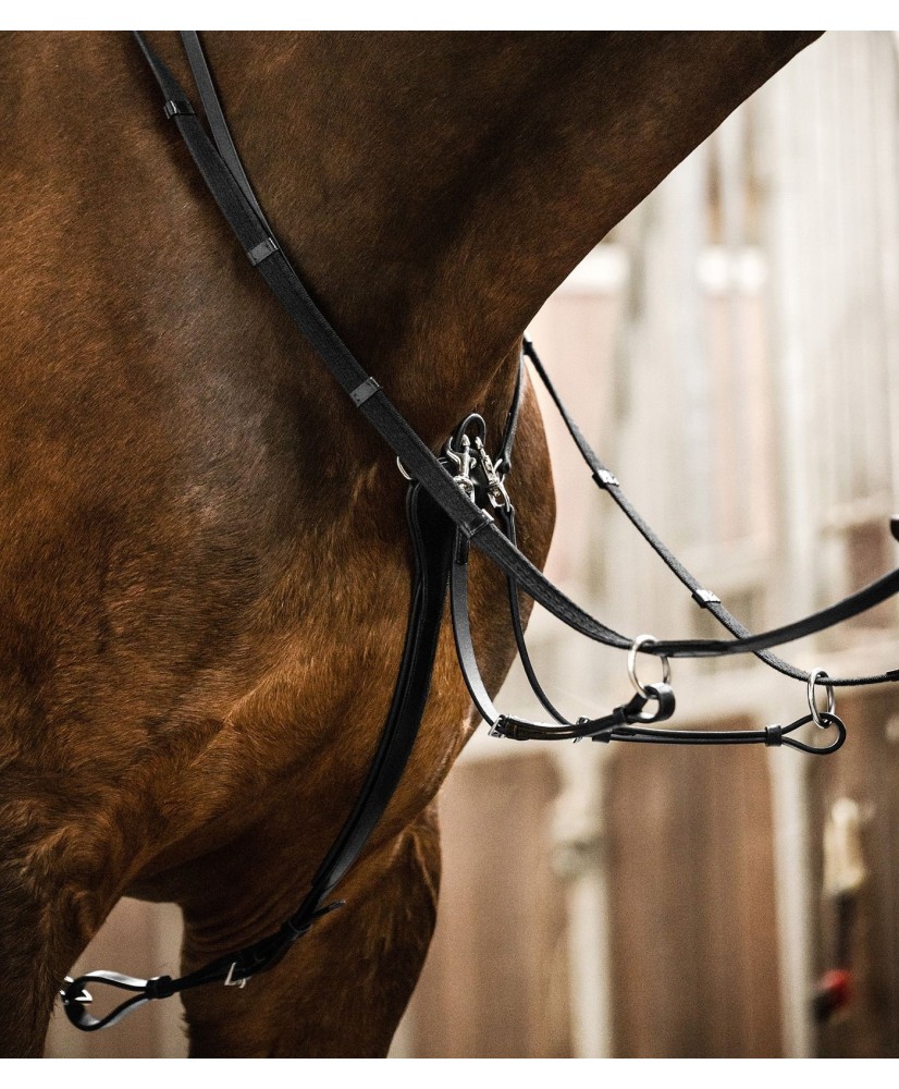 Waldhausen X-Line Martingale Professional